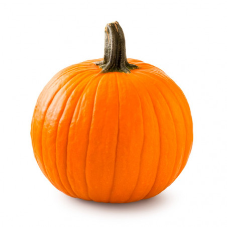 CALABAZA HALLOWEEN