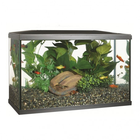 KIT ACUARIO MARINA LUX