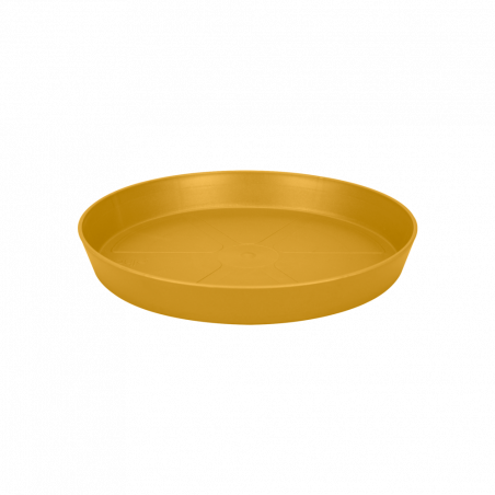 PLATO LOFT URBAN MOSTAZA