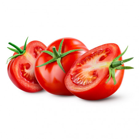 TOMATE TRES CANTOS EN MACETA