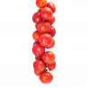 TOMATE COLGAR EN MACETA
