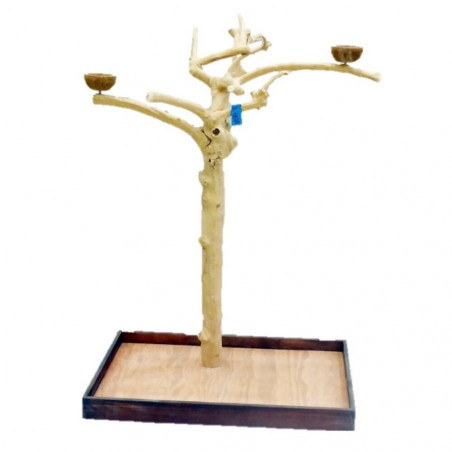 ARBOL DE JAVA PARA LOROS