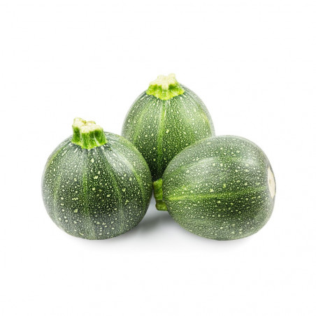 CALABACÍN REDONDO EN MACETA