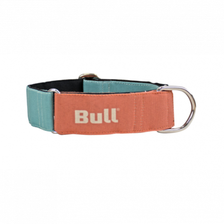 COLLAR PARA GALGO NARANJA Y TURQUESA