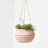 CACTUS COLGANTE