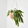 CACTUS COLGANTE