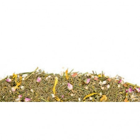 ALIMENTO CONEJO TOY MINI Y SUPERTOY