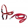 ARNES PERRO EASY WALK ROJO