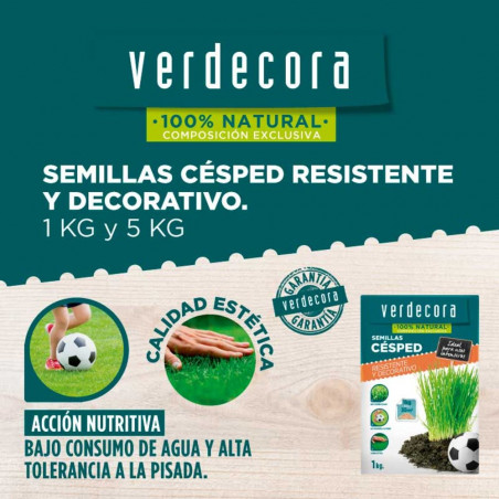 SEMILLAS CéSPED RESISTENTE Y DECORATIVO VERDECORA