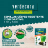 SEMILLAS CéSPED RESISTENTE Y DECORATIVO VERDECORA