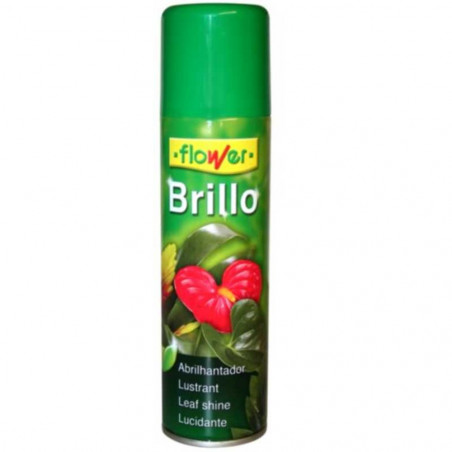 BRILLO PLANTA NATURAL HIPOALERGENICO