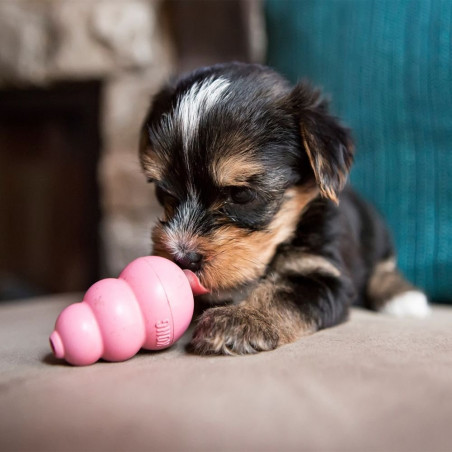 KONG PUPPY AZUL - JUGUETE PERRO CACHORRO