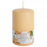 VELA TACO PERFUMADO VAINILLA