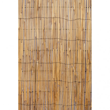 OCULTACIÓN NATURAL DE BAMBÚ CHINO