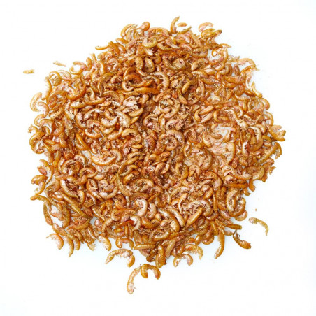 SNACK GAMMARUS  VERDECORA