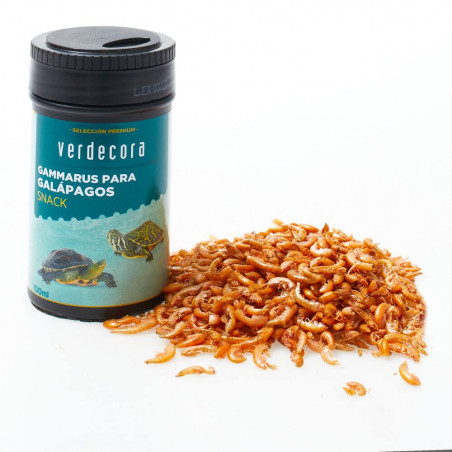 SNACK GAMMARUS  VERDECORA