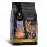 PIENSO GATO ERA STERILISED SENSITIVE ADULT SALMON  Y PAVO