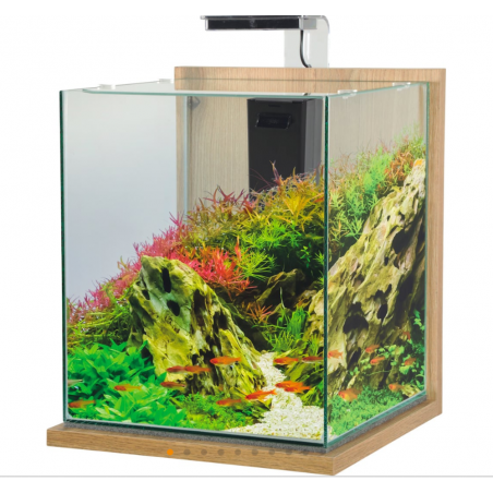 ACUARIO JALAYA 2 ROBLE CLARO