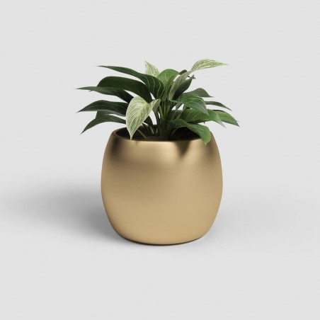 MACETERO HERA ORO