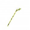LUCKY BAMBU RECTO
