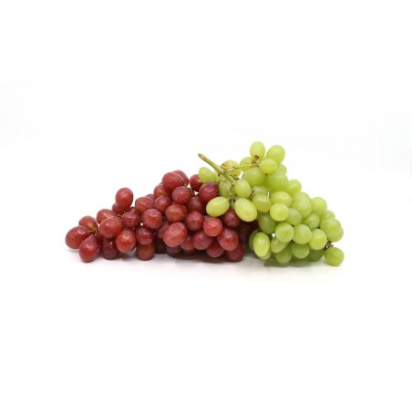 PARRA SURTIDO VARIADO