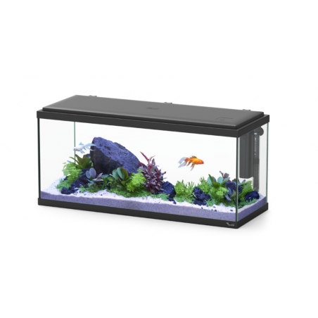 ACUARIO EXPLORER AMSTERDAM