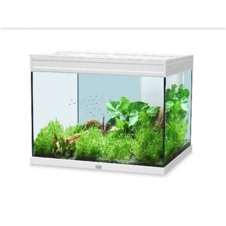 ACUARIO ELEGANCE PLUS