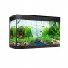 KIT ACUARIO FLUVAL ROMA 125L NEGRO BLUETOOTH