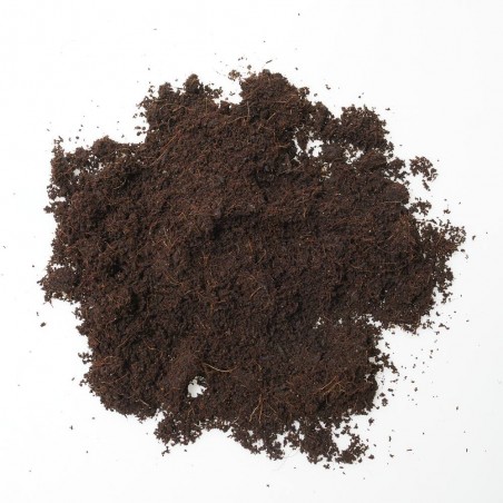 FIBRA COCO VERDECORA