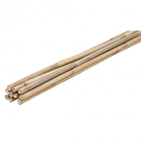 TUTOR BAMBÚ NATURAL