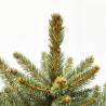 PICEA AZUL 