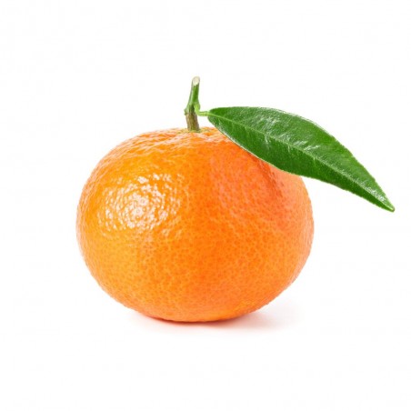 MANDARINO VARIEDADES