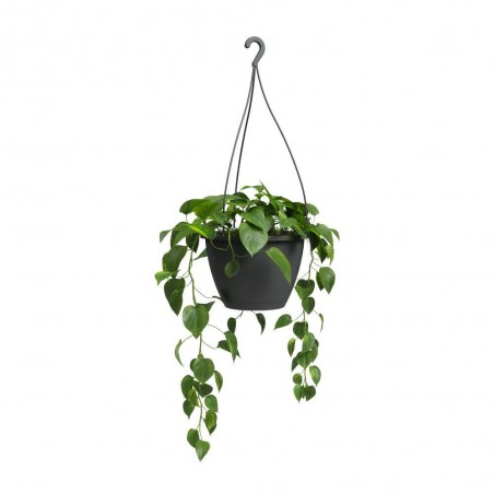 MACETA ALGARVE CON COLGADOR ANTRACITA