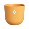 MACETERO JAZZ AMBER YELLOW