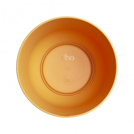 MACETERO JAZZ AMBER YELLOW