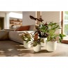 MACETERO JAZZ SILKY WHITE