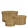 CESTA LIAN CON TAPA