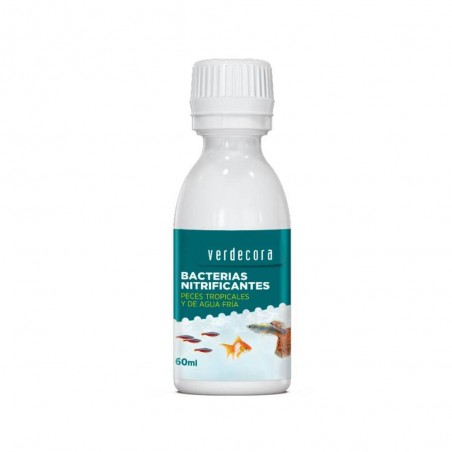 INICIADOR BACTERIAS VERDECORA