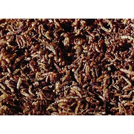 SERA LARVAS DE MOSQUITO