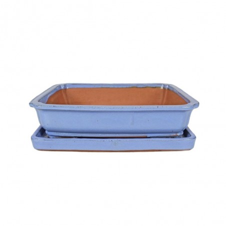 MACETA BONSÁI RECTANGULAR + PLATO COLORES
