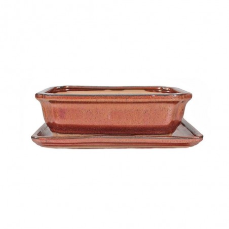 MACETA BONSÁI RECTANGULAR + PLATO COLORES