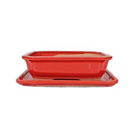 MACETA BONSÁI RECTANGULAR + PLATO COLORES