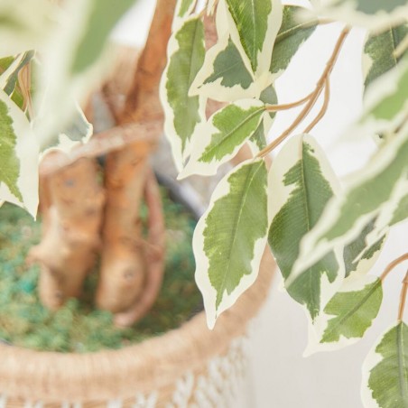 ÁRBOL FICUS ARTIFICAL VARIEGADO