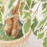 ÁRBOL FICUS ARTIFICAL VARIEGADO