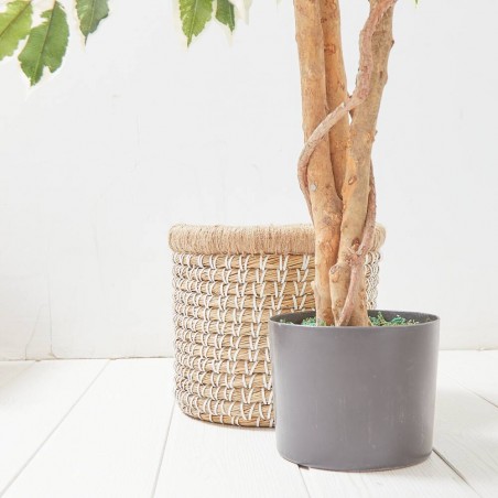 ÁRBOL FICUS ARTIFICAL VARIEGADO