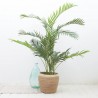 PALMERA ARTIFICIAL EXTERIOR