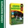 SEMILLAS CÉSPED RESISTENTE