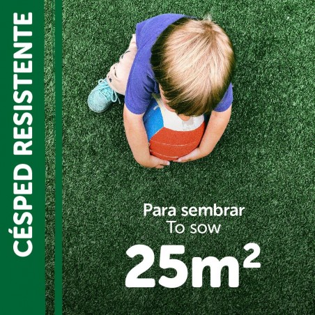 SEMILLAS CÉSPED RESISTENTE