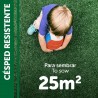 SEMILLAS CÉSPED RESISTENTE