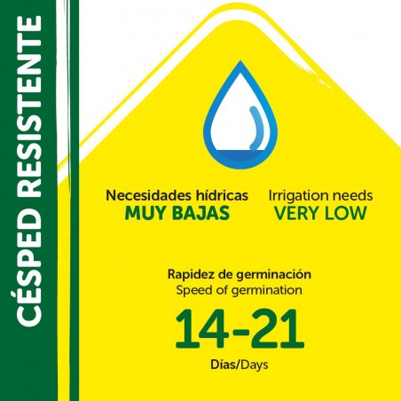SEMILLAS CÉSPED RESISTENTE